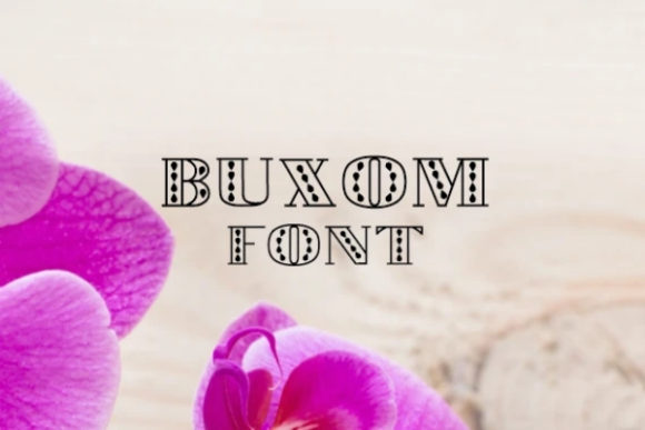 Buxom Font: Bold Display Typography for Handmade Products