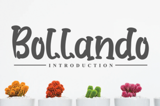 Enhance Your Brand with Bollando: A Classy and Elegant Font