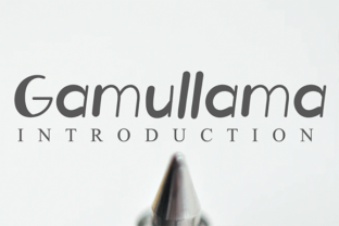 Enhance Your Web Design with Gamullama Font