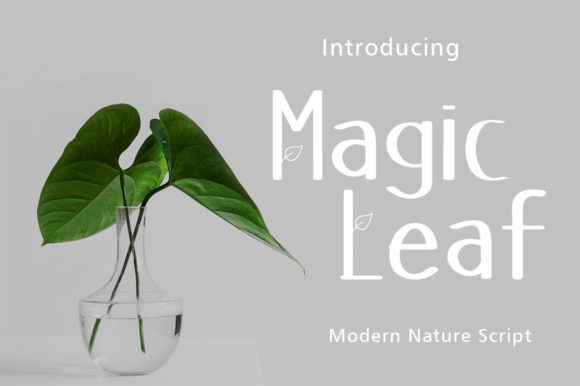 Magic Leaf Font: A Friendly Display Typeface for Small Business Branding
