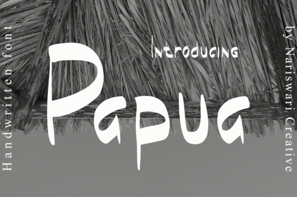 Papua Font: A Casual Display Typeface for Campaigns